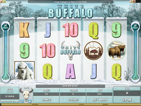 White Buffalo Slot